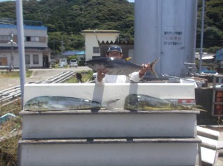 6月26日 大阪 西田氏 キハダマグロ 74? シイラ、メジカ、サバ (岬流し釣り)