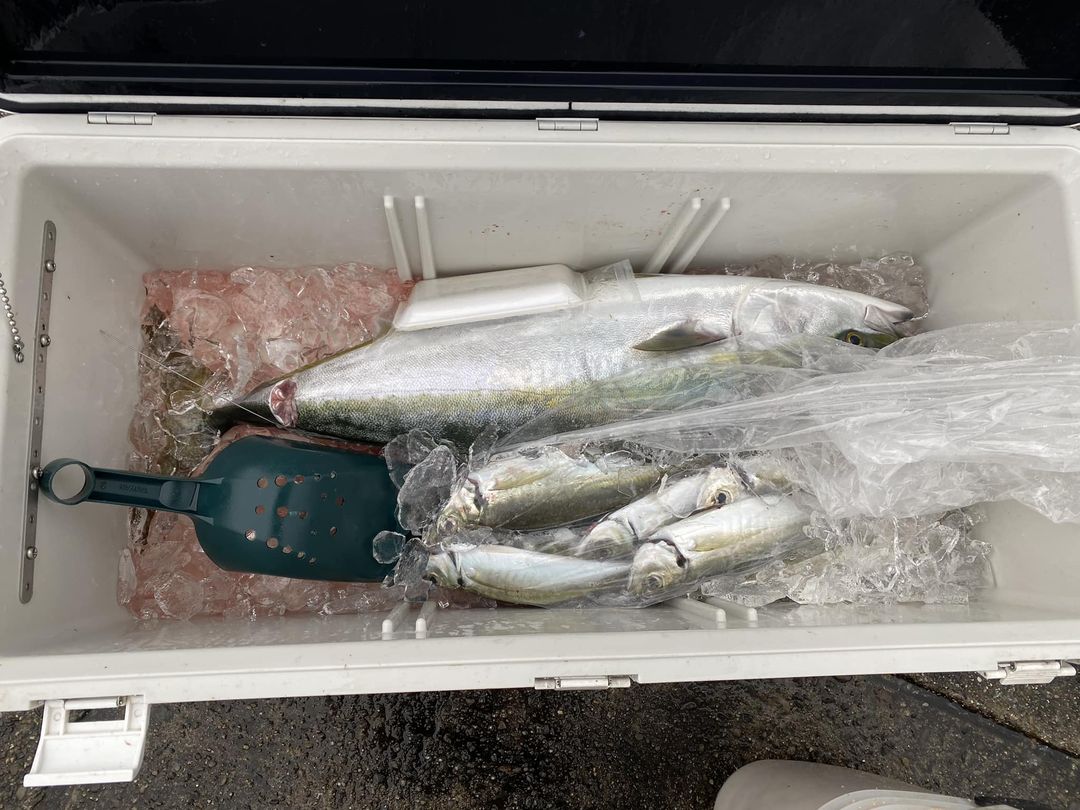 三重県 後藤氏 大島フィッシング