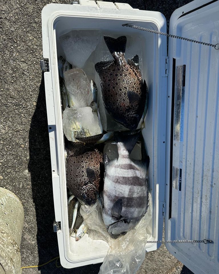 大阪 米谷氏 大島フィッシング